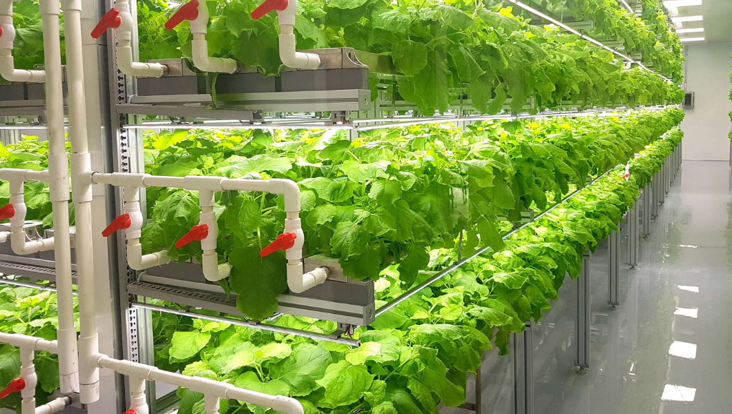 growing-food-in-space-exploring-the-future-of-food-with-nasa